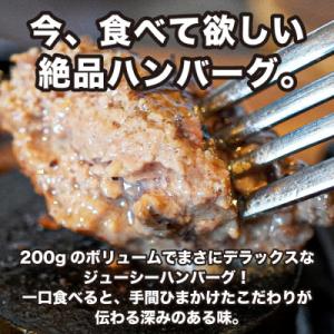 ふるさと納税 神戸市 神戸デラックスハンバーグ...の詳細画像1