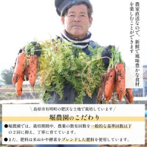 ふるさと納税 島原市 【訳あり】 堀農園のこだ...の詳細画像1