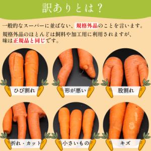 ふるさと納税 島原市 【訳あり】 堀農園のこだ...の詳細画像2