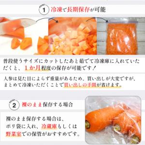 ふるさと納税 島原市 【訳あり】 堀農園のこだ...の詳細画像3