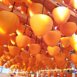 ふるさと納税 八幡浜市 丸京農園だけの“ 逸品”美しい粉雪の「 干し富士柿 」( 家庭用・クール発送 )【C72-5】