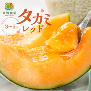 ふるさと納税 田原市 渥美半島産　水野農園のタカミレッドメロン約5kg(3玉〜5玉)