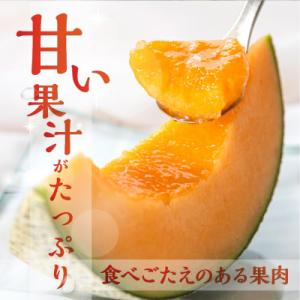 ふるさと納税 田原市 渥美半島産 水野農園のタ...の詳細画像1