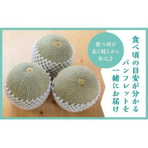 ふるさと納税 田原市 渥美半島産 水野農園のタ...の詳細画像2