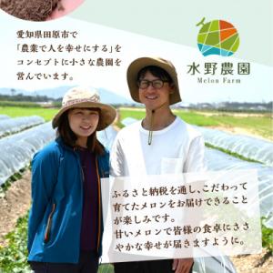 ふるさと納税 田原市 渥美半島産 水野農園のタ...の詳細画像3