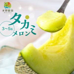 ふるさと納税 田原市 渥美半島産　水野農園のタカミメロン約5kg(3玉〜5玉)