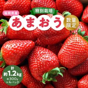 ふるさと納税 大野城市 【数量限定】特別栽培あまおう4パック【2025年12月より順次発送】