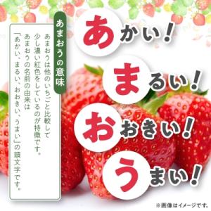 ふるさと納税 大野城市 【数量限定】特別栽培あ...の詳細画像1