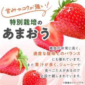 ふるさと納税 大野城市 【数量限定】特別栽培あ...の詳細画像2