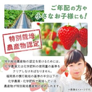 ふるさと納税 大野城市 【数量限定】特別栽培あ...の詳細画像3