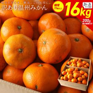 ふるさと納税 宮崎市 訳ありみかん16kg 傷み補償200g(宮崎市)