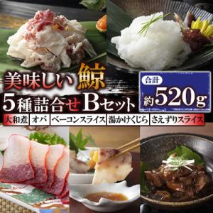 ふるさと納税 長崎市 美味しい鯨5種詰め合わせBセット(大和煮、オバ、ベーコンスライス、湯かけくじら...