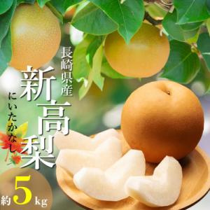 ふるさと納税 南島原市 【2026年発送】新高梨 約5kg 5玉〜13玉 梨専門のマルハチファームか...
