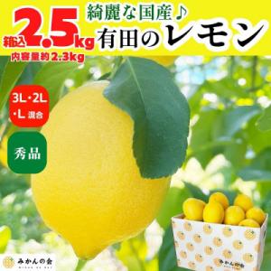 ふるさと納税 有田川町 レモン 国産 秀品 中玉 箱込 2.5kg(内容量2.3kg) L 2L 3...