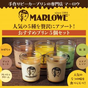 ふるさと納税 横須賀市 葉山ビーカープリン マーロウ おすすめプリン 5個 セット 180g×5 9...