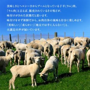 ふるさと納税 稚内市 【稚内の肉職人】たかみさ...の詳細画像1