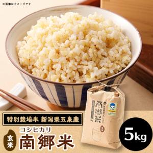 ふるさと納税 五泉市 令和7年産 特別栽培米 隠れたお米の名産地!新潟県五泉産コシヒカリ「南郷米」玄米5kg