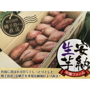 ふるさと納税 西之表市 中園ファームの熟成安納芋(生芋)Sサイズ　10kg