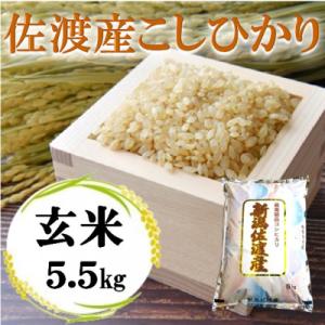ふるさと納税 佐渡市 【令和7年産】佐渡高千産コシヒカリ 玄米 5.5kg
