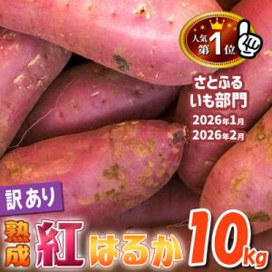 ふるさと納税 下妻市 【2025・11月下旬から順次発送】下妻市産　熟成さつまいも　紅はるか　【訳アリ】10kg　