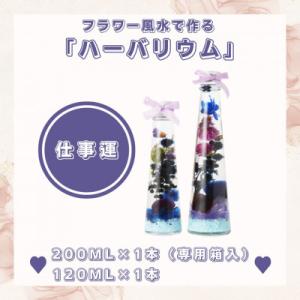 ふるさと納税 人吉市 フラワー風水で作るハーバリウム「仕事運」