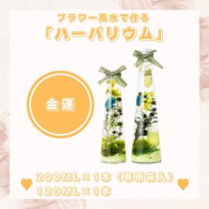 ふるさと納税 人吉市 フラワー風水で作るハーバリウム「金運」