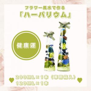 ふるさと納税 人吉市 フラワー風水で作るハーバリウム「健康運」