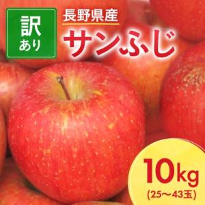 ふるさと納税 中野市 長野県産 サンふじ りんご 家庭用 訳あり 10kg(25〜43玉)