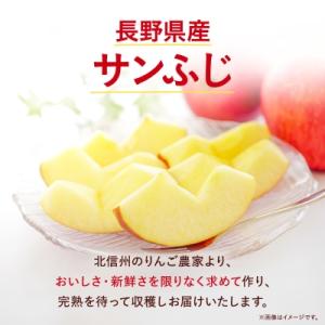 ふるさと納税 中野市 【先行受付】長野県産 サ...の詳細画像1