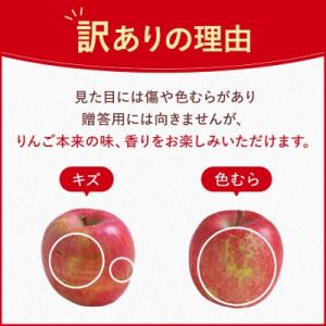ふるさと納税 中野市 【先行受付】長野県産 サ...の詳細画像2