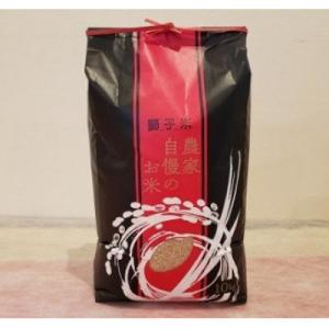 ふるさと納税 石岡市 獅子米 もち米(マンゲツモチ) 玄米10kg【令和7年産】