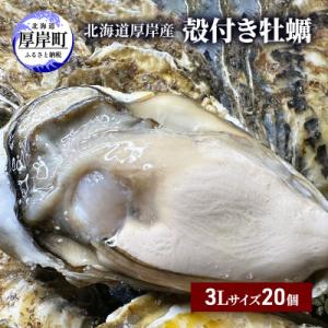 ふるさと納税 厚岸町 北海道厚岸産殻牡蠣【マルえもん 3Lサイズ　20個入り】 牡蠣ナイフ&amp;軍手付き