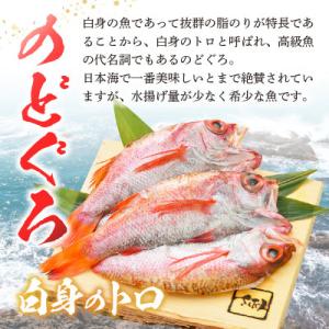 ふるさと納税 越前町 開きのどぐろ × 10尾(約170〜200g / 1尾)