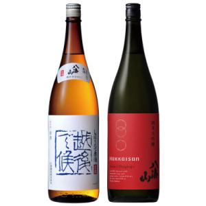 ふるさと納税 南魚沼市 日本酒 八海山 しぼりたて原酒・純米大吟醸 時季限定 1800ml×2本 限...