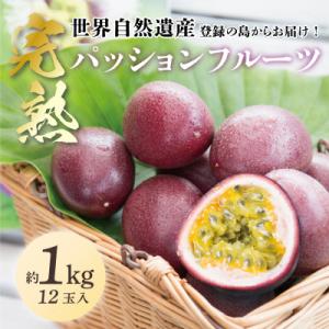 ふるさと納税 奄美市 《奄美大島産パッションフルーツ》バラ詰め約1kg(12玉入り)