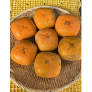 ふるさと納税 五條市 富有柿訳ありお試し約7kgサイズおまかせ(24個〜28個)