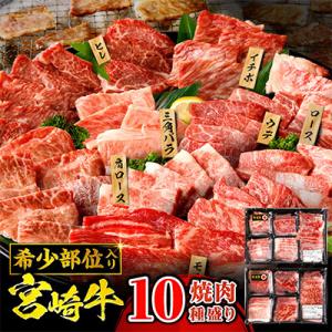 ふるさと納税 宮崎市 宮崎牛 焼肉 10種盛り合わせ 合計600g　希少部位 贈答用にも