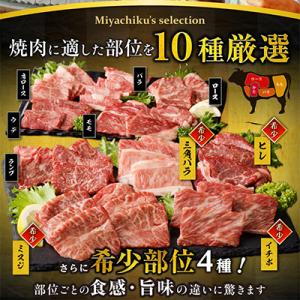 ふるさと納税 宮崎市 宮崎牛 焼肉 10種盛り...の詳細画像1
