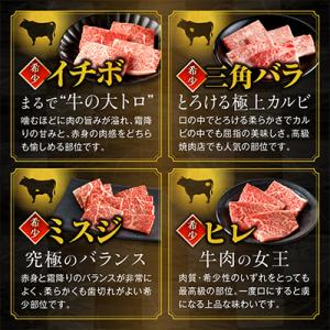 ふるさと納税 宮崎市 宮崎牛 焼肉 10種盛り...の詳細画像2