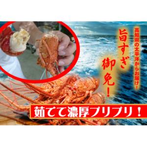 ふるさと納税 東洋町 伊勢海老(ボイル済!)500g!(1〜2尾)扱いやすい個包装!