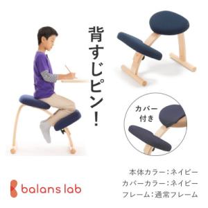 旧型リボ社製バランスチェア・イージー：アフターパーツ／ クロスバー
