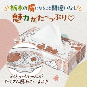ふるさと納税 小山市 【10箱入り】使い切りパ...の詳細画像1