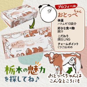 ふるさと納税 小山市 【10箱入り】使い切りパ...の詳細画像2