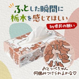 ふるさと納税 小山市 【10箱入り】使い切りパ...の詳細画像3