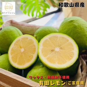 ふるさと納税 広川町 ≪先行受付・2026年9月末〜発送≫ ご家庭用有田レモン 1kg【ワックス・防...