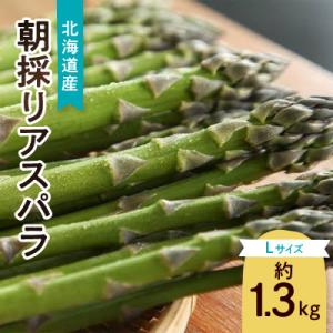 ふるさと納税 旭川市 【2026年発送】朝採りアスパラ　Lサイズ　約1.3kg_01706｜Yahoo!ふるさと納税