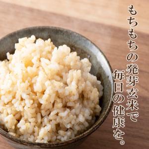ふるさと納税 九重町 発芽玄米(大分県産ミルキ...の詳細画像2