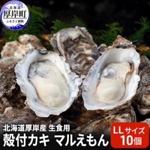 ふるさと納税 厚岸町 北海道厚岸町産 牡蠣 生食用 殻付カキ 「マルえもん」LLサイズ10個〈便利な...