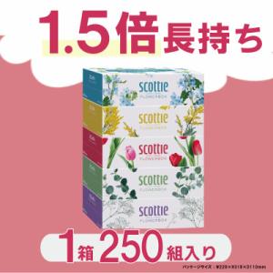 ふるさと納税 福知山市 【ボックスティッシュ】...の詳細画像1