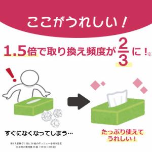 ふるさと納税 福知山市 【ボックスティッシュ】...の詳細画像2